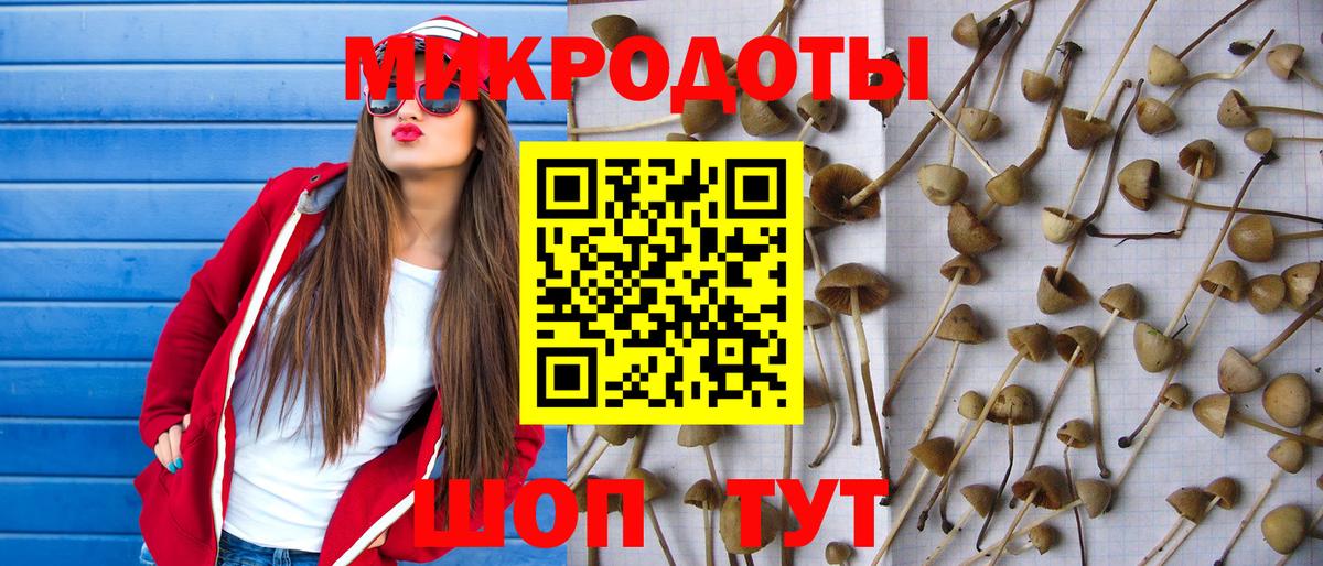 Сибай  Псилоцибиновые грибы прущие грибы  Вход с VPN 